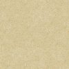 Baumwollputz B1 in Creme – elegante Flüßigtapete für moderne Wandgestaltung mit weicher, natürlicher Farbwirkung