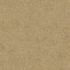 Baumwollputz B2 in Beige – natürliche Flüßigtapete für moderne Wandgestaltung mit warmer, harmonischer Ausstrahlung