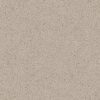 Baumwollputz B9 in Beige Creme – natürliche Flüßigtapete für moderne Wandgestaltung mit sanfter Farbwirkung