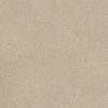 Baumwollputz Y2502 Portland Stone – moderne Wandbeschichtung in urbanem Steinton