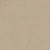Baumwollputz Y2503 Warm Neutral – moderne, warme Wandbeschichtung in natürlichem Beigeton